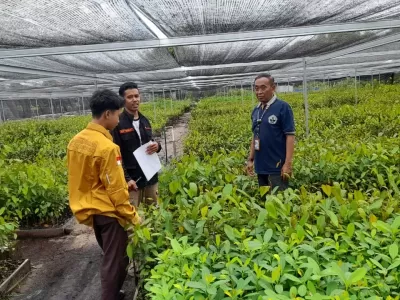 WhatsApp Image 2025-01-09 at 10