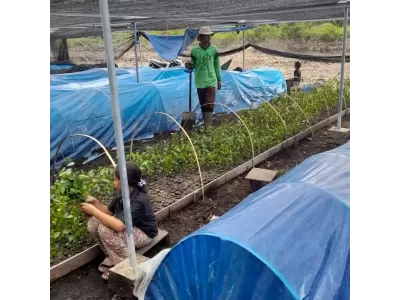 WhatsApp Image 2024-10-12 at 11